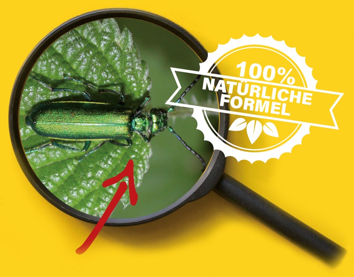 Natürliche formel